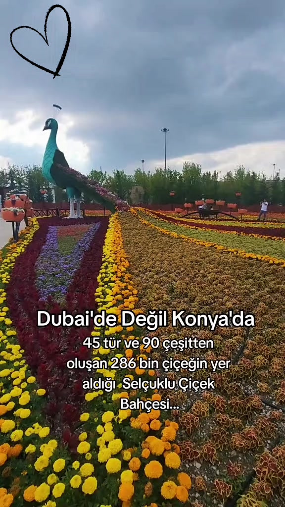 @gökçe