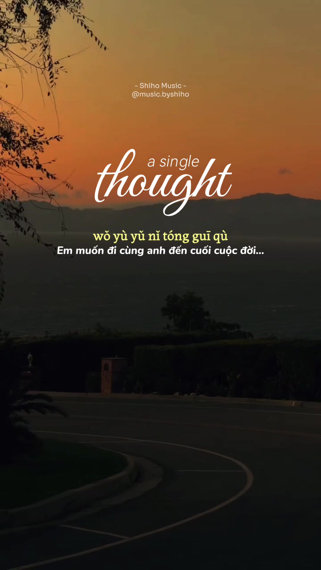 @𝐒𝐡𝐢𝐡𝐨 𝐌𝐮𝐬𝐢𝐜 🎧