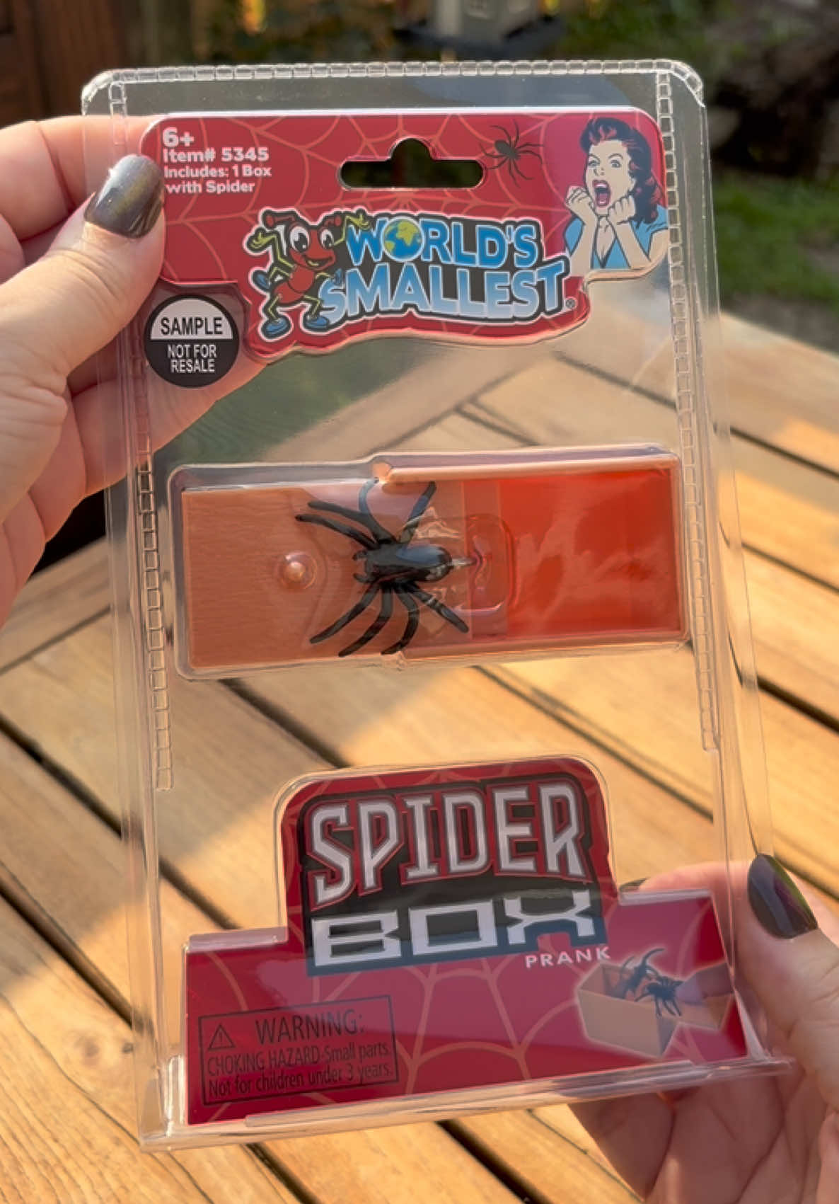 @ScatteredAdventures