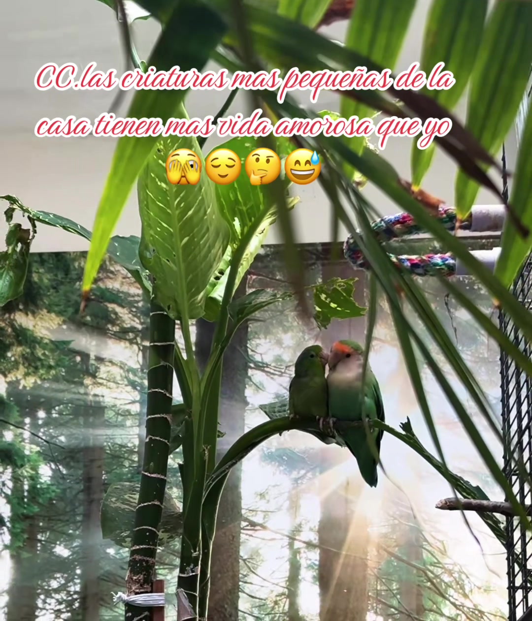 @🇲🇽💋marchiquis60