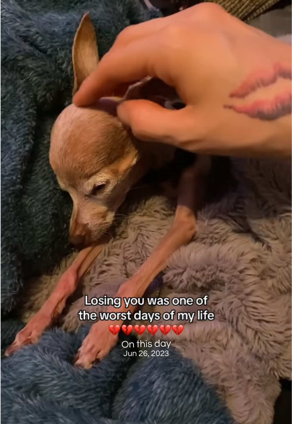 @recreateyourcellf