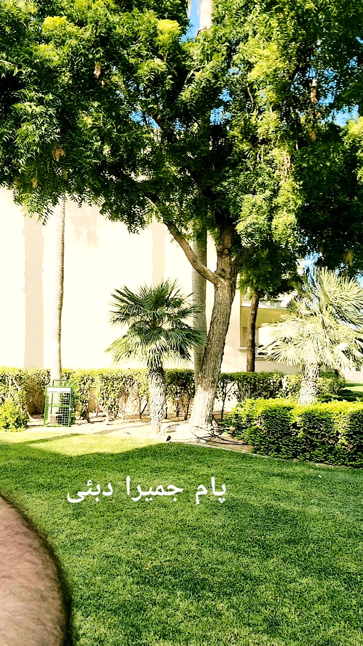 @Naghyal bangash