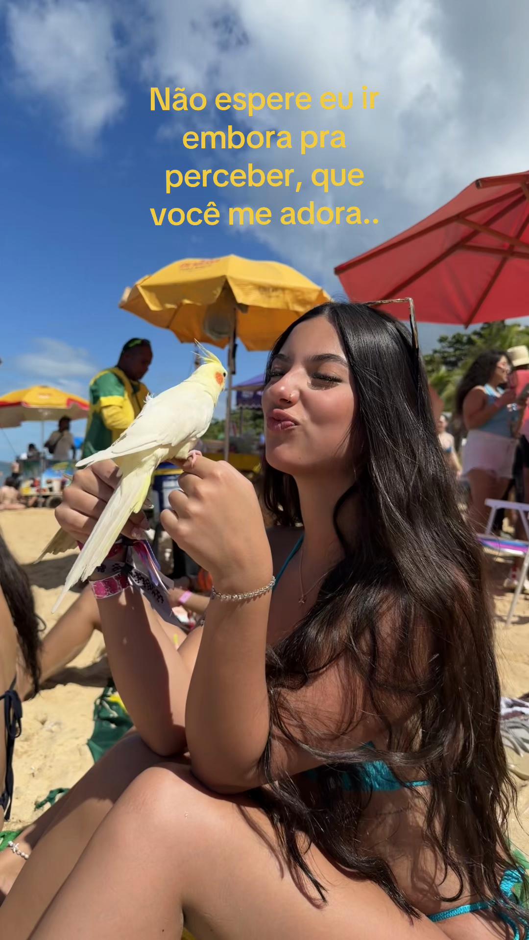 @anaju pardini