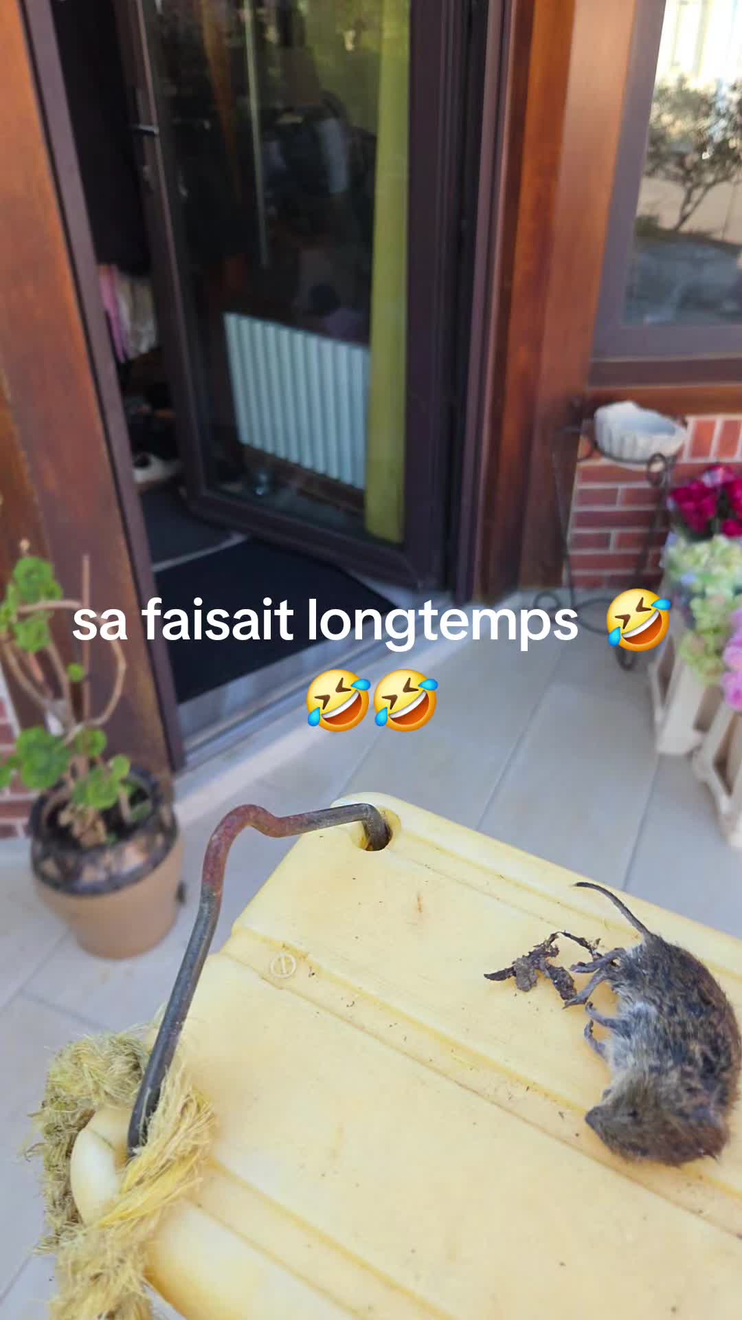 @Mns Elya Orleane