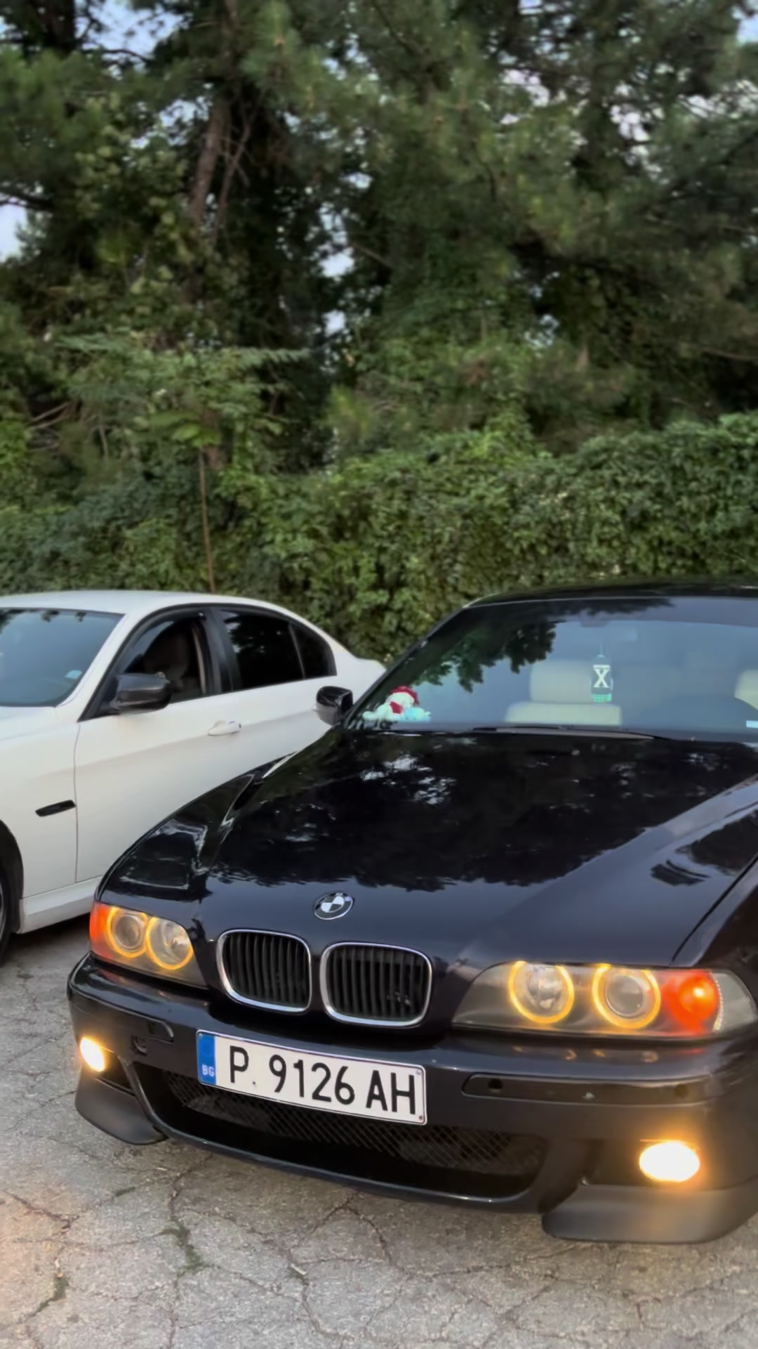 @n.mollov.e39