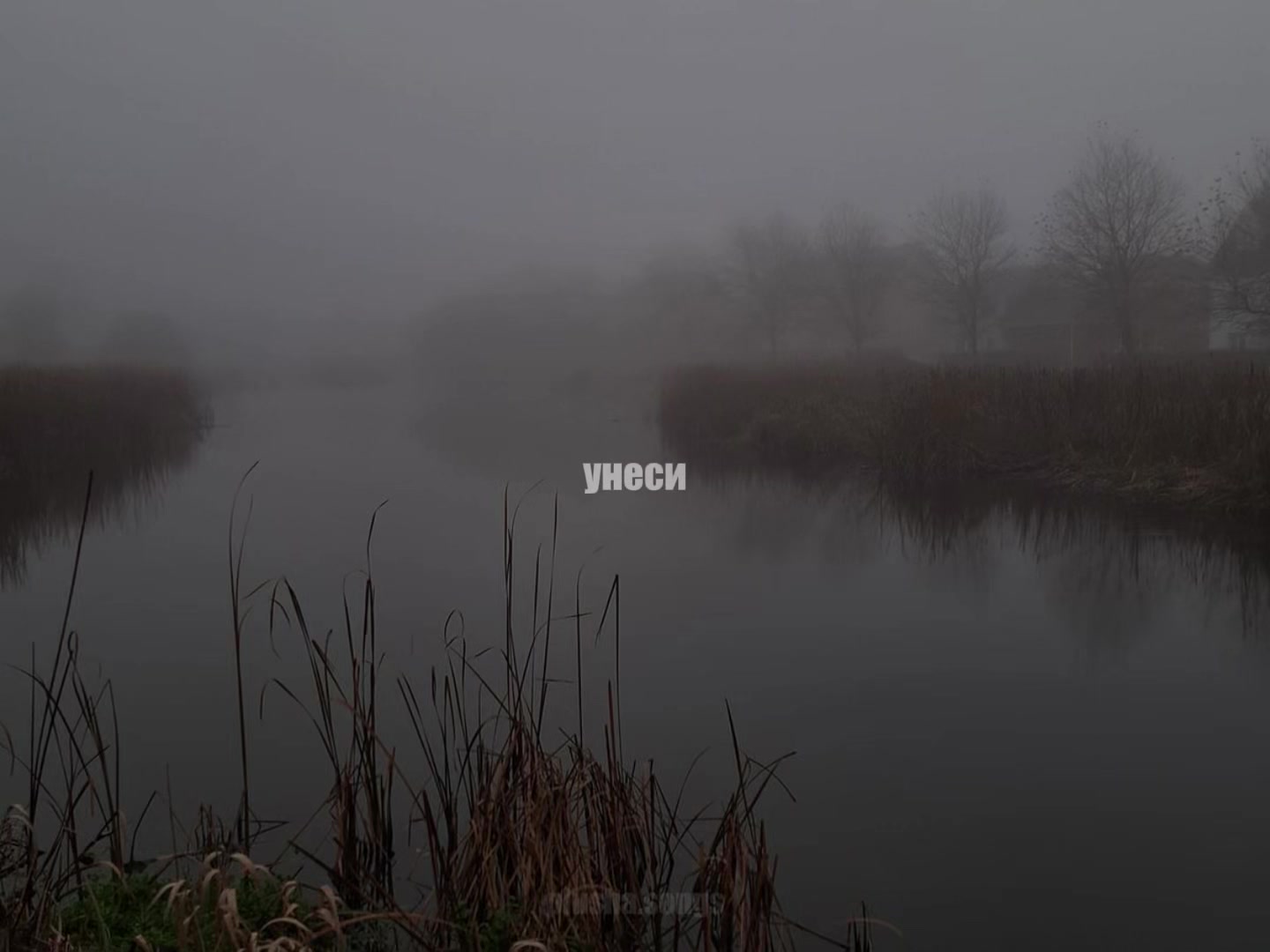 @тгк: songs || plusha