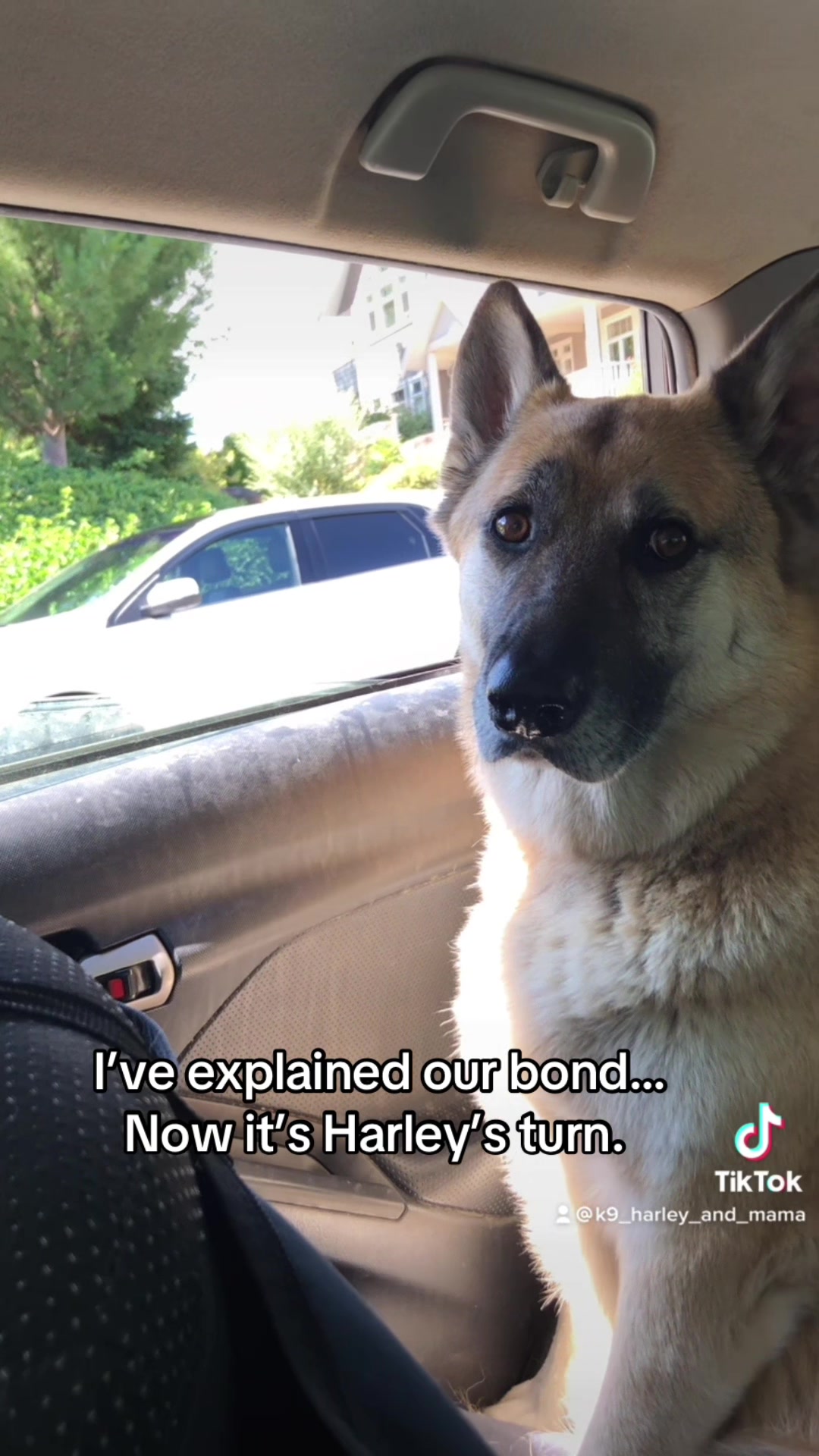 @🇨🇦 K9 Harley & Jody 🇨🇦