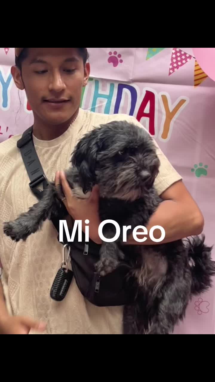 @🇲🇽🇲🇽OAXAQUEÑA 💚🤍❤️