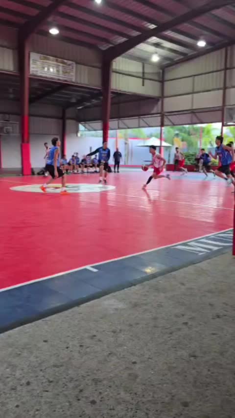 @Nicky 🌸👑🏀
