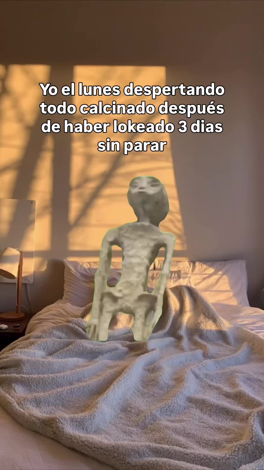 @houseismyparadise