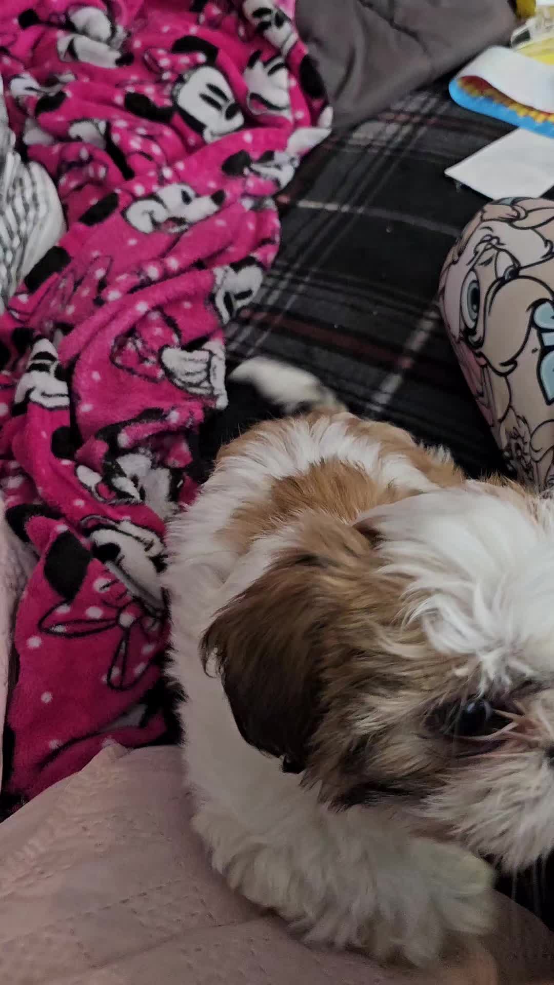 @VERONICA SUASTE♡