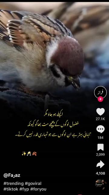 @❣️تورا غنم رنگا❣️