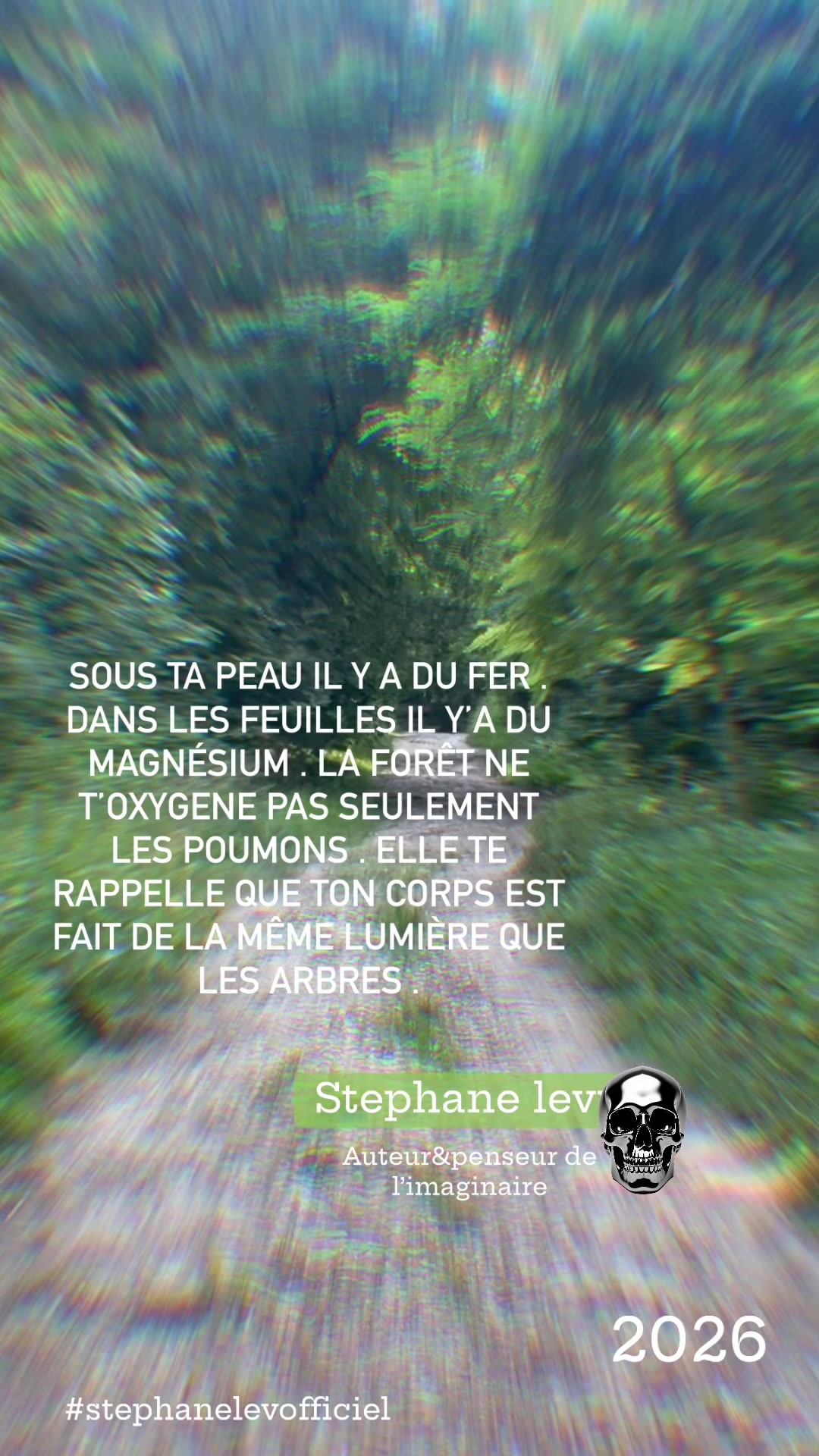 @stephanelevinternational