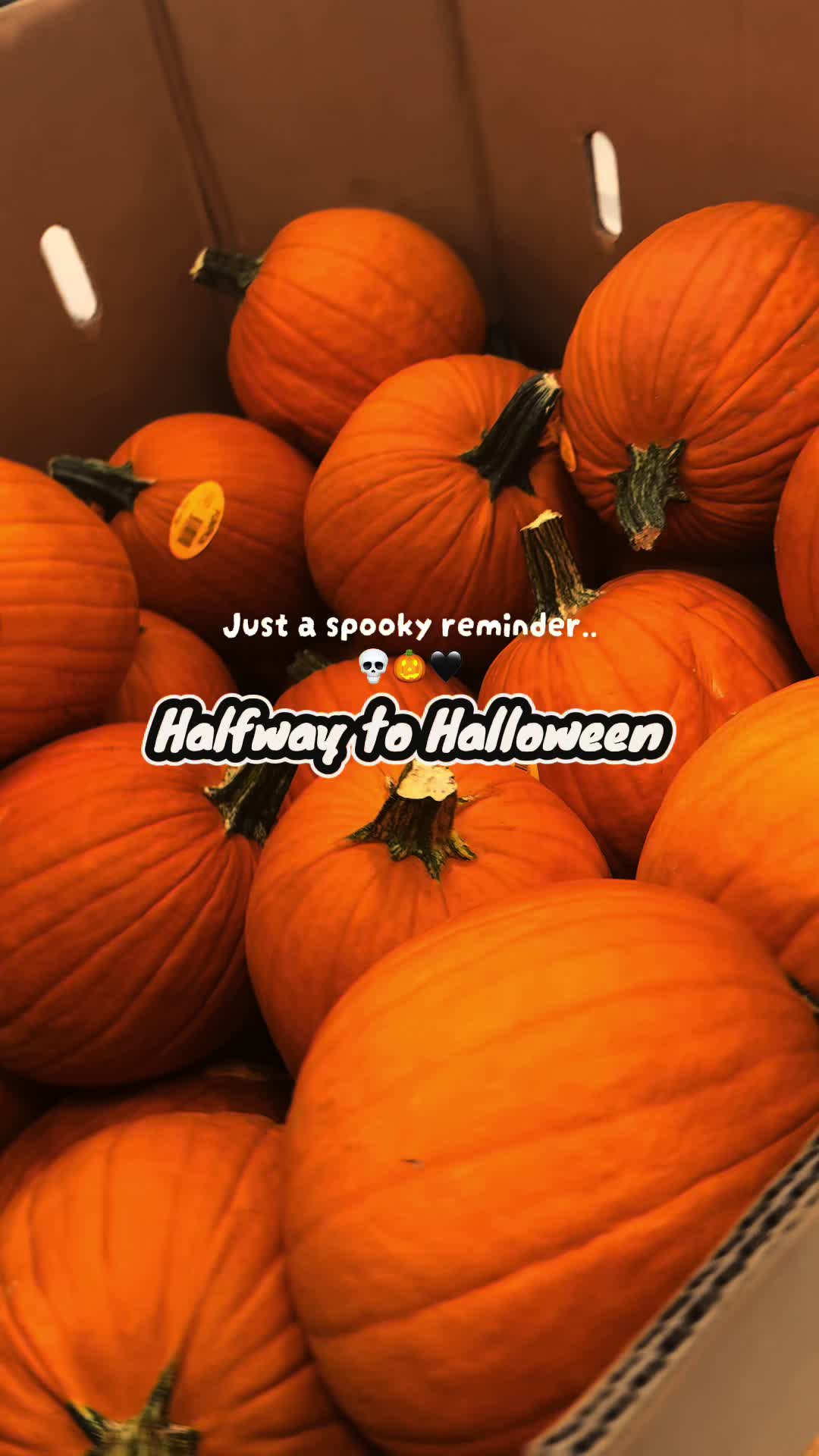@Kp🖤💀🕯️