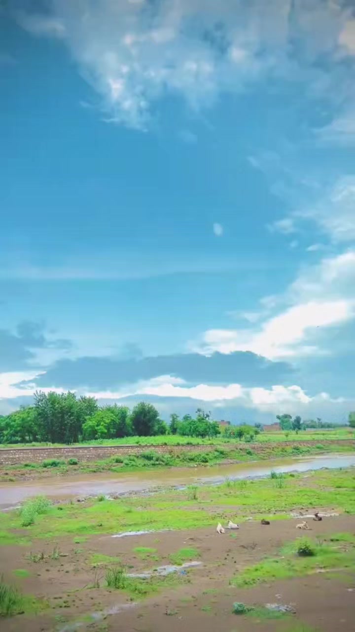 @ƝƠMƖ