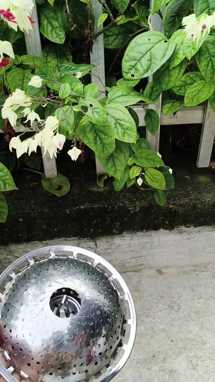 @Nguyễn Thiện Nhân