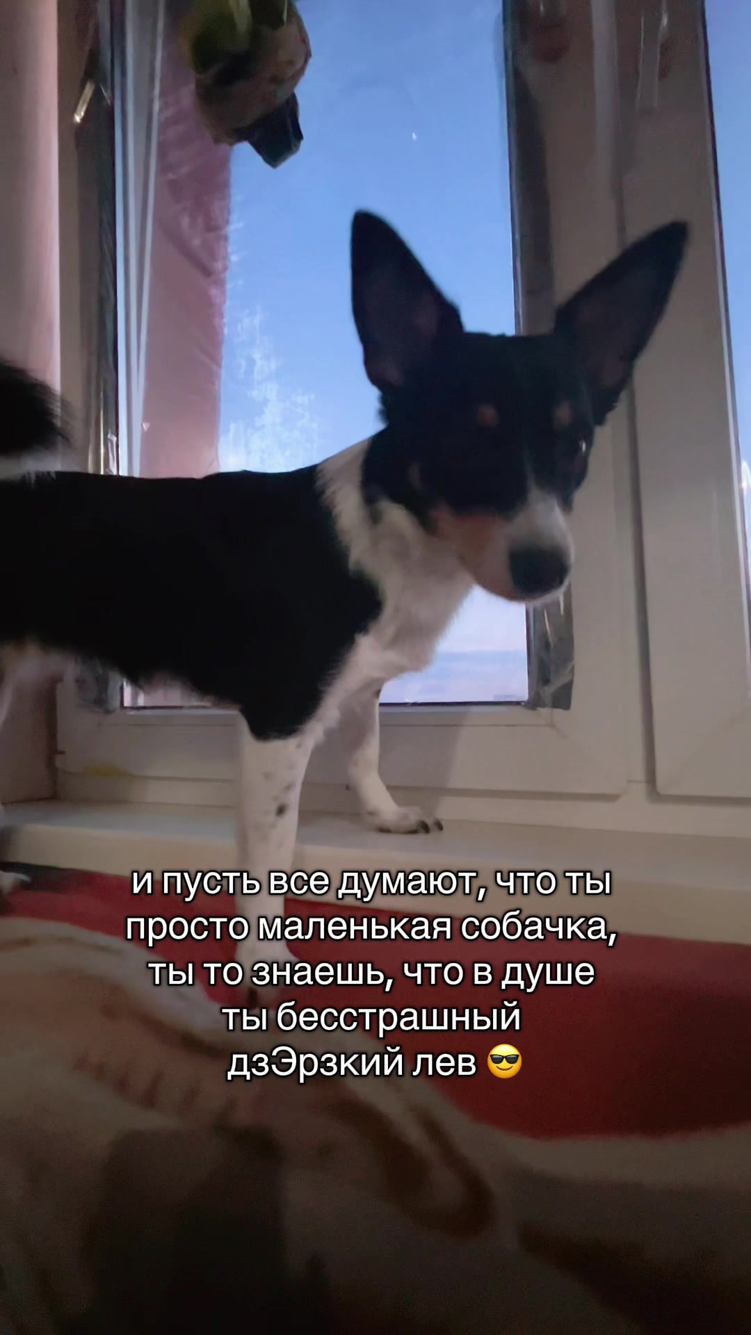 @Улыбнись🙂 ☑️