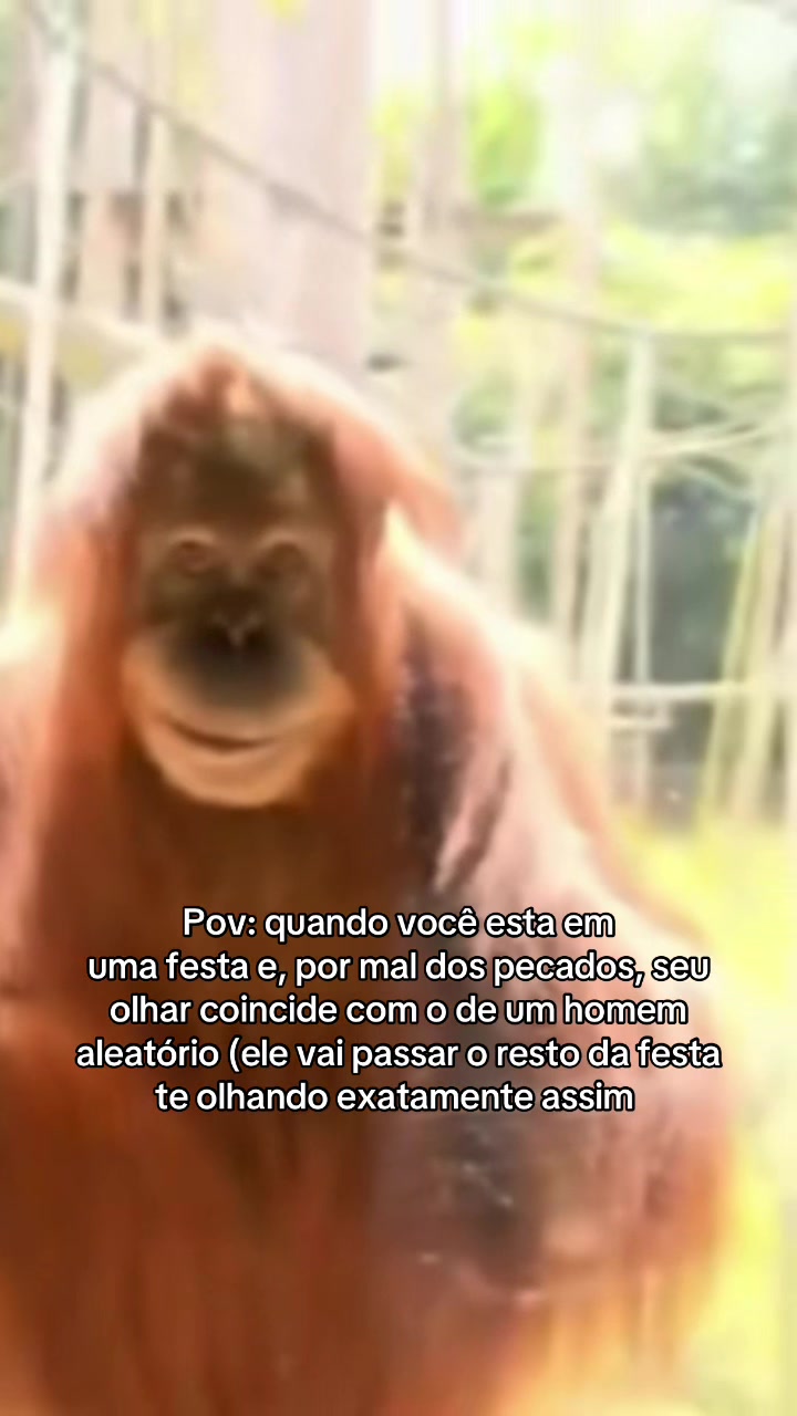 @Leticia Carmo