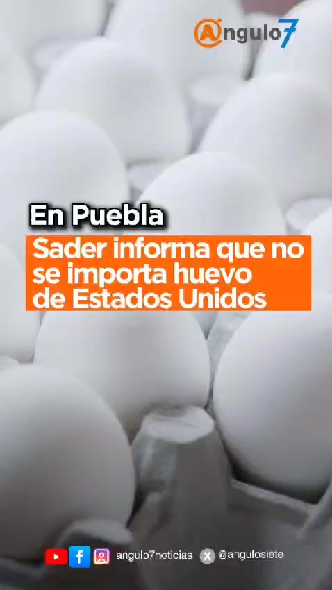 @Ángulo7 | Periodismo | Puebla