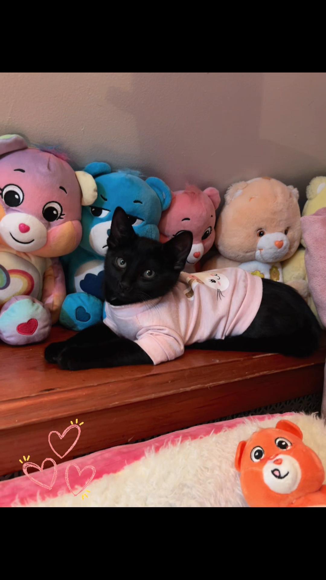 @💗💓🌸💘💝💕🎀