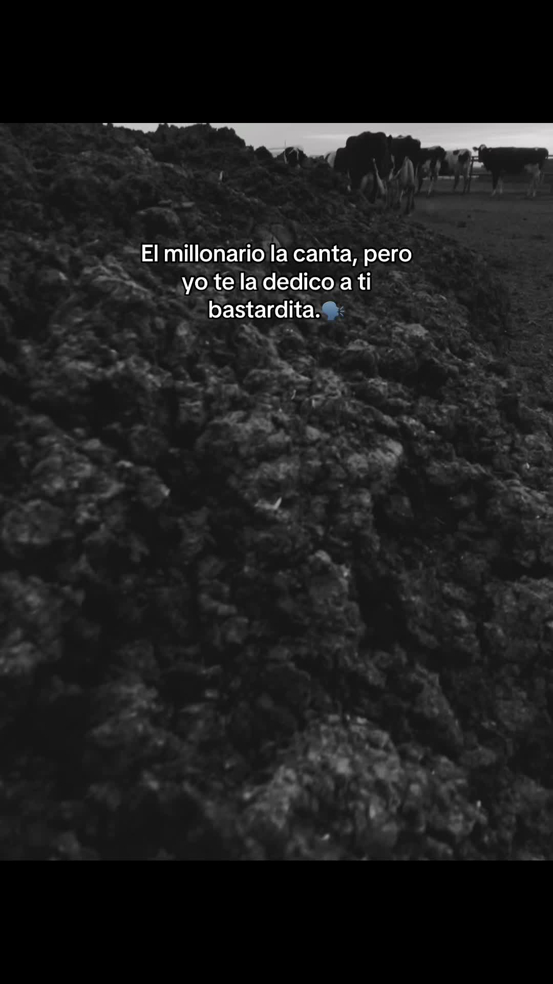@GÁNSTER 🎭🪫👹