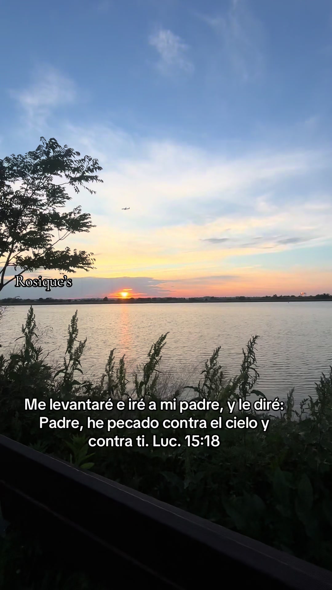 @Rosique NY