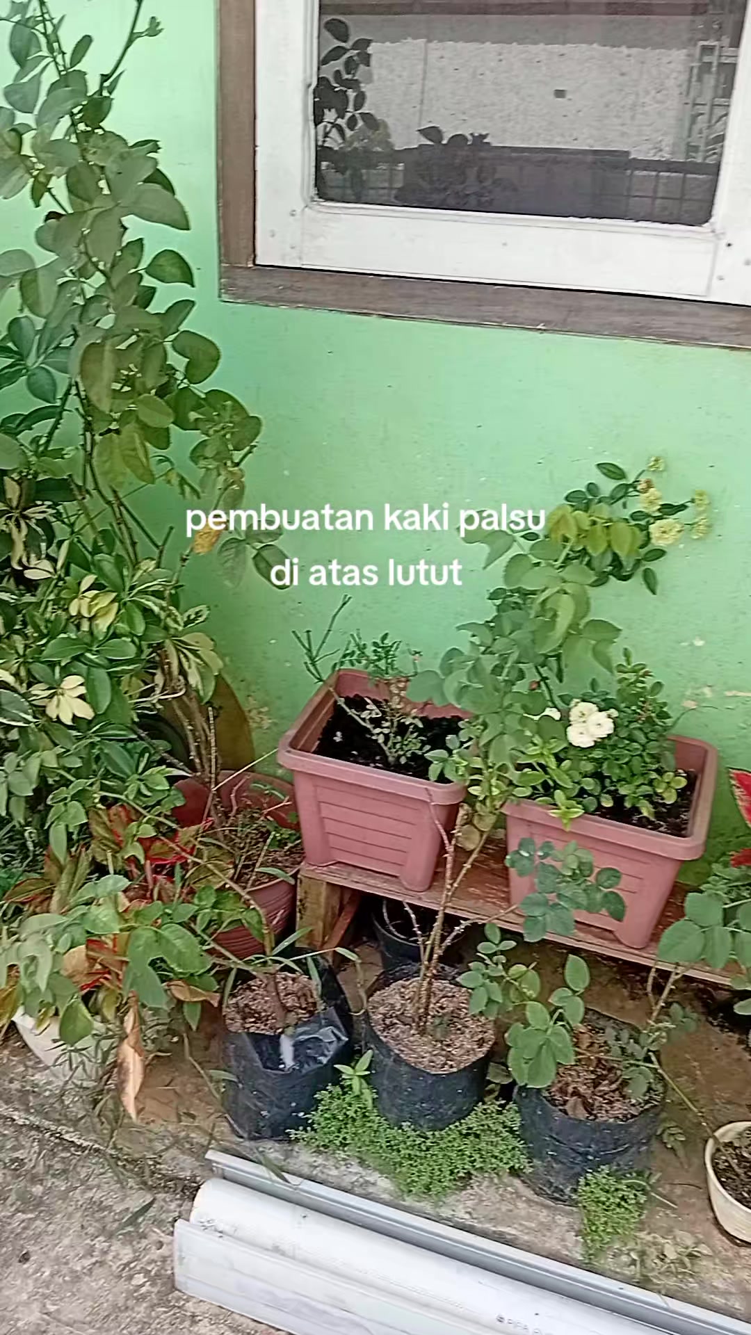 @yayasan sugih mukti