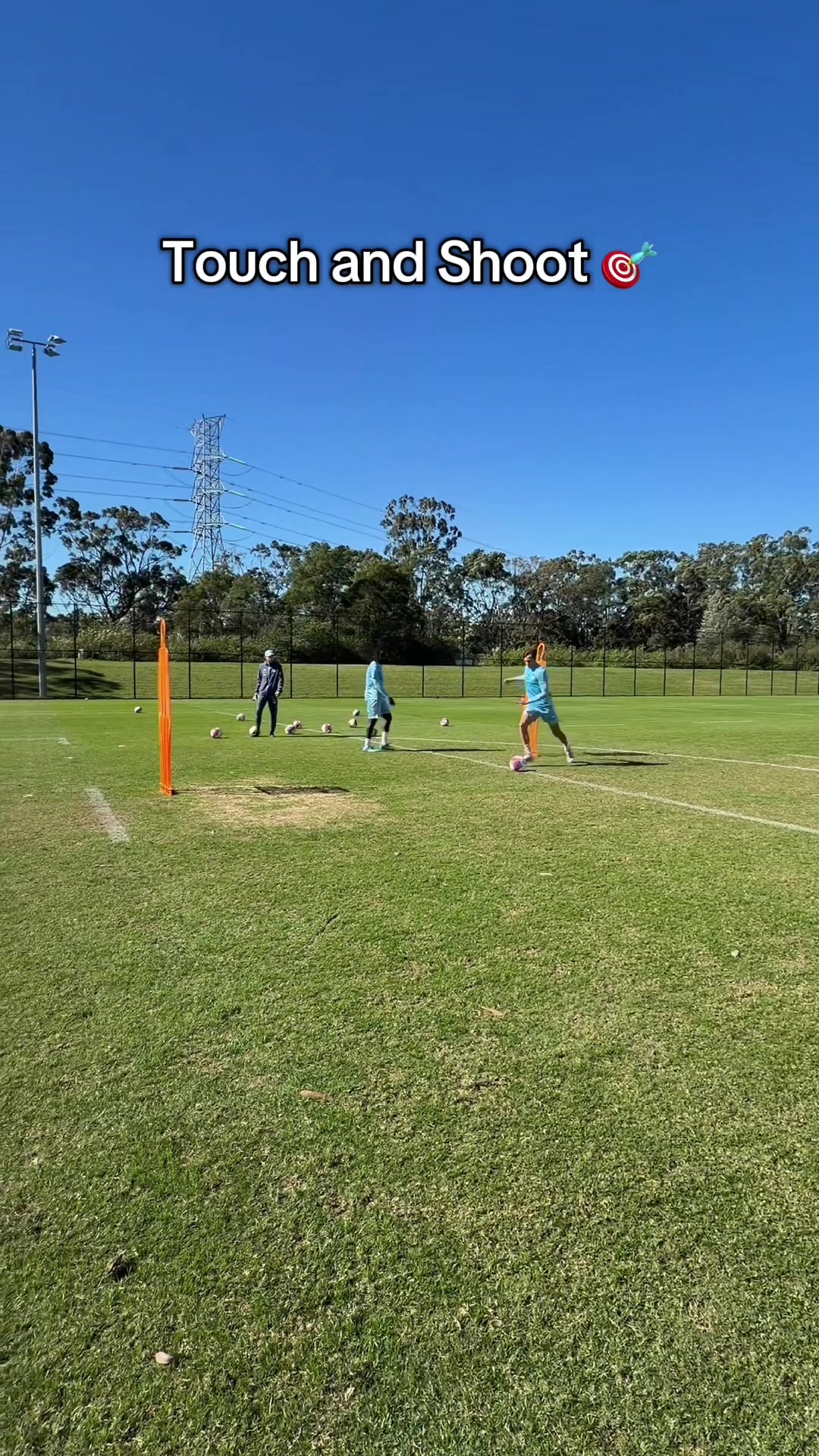 @Sydney FC