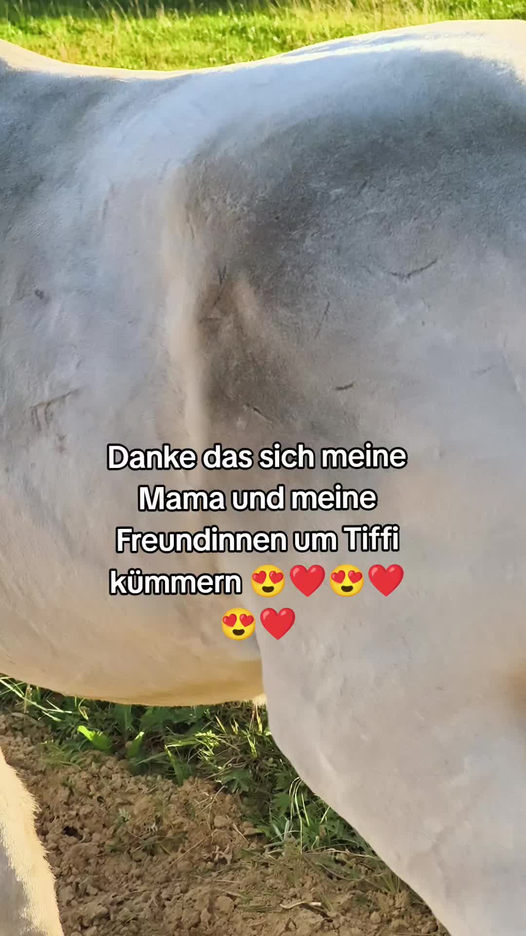 @tiffany_mein_glueckk