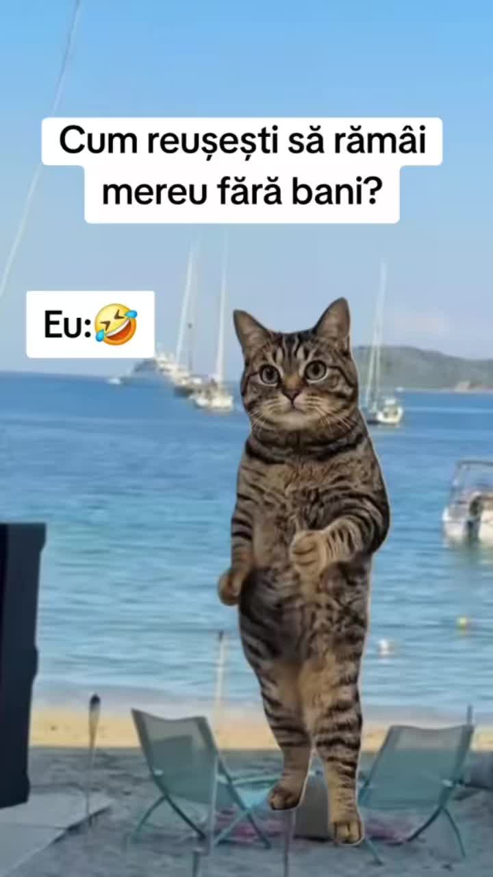 @Angi M.💎