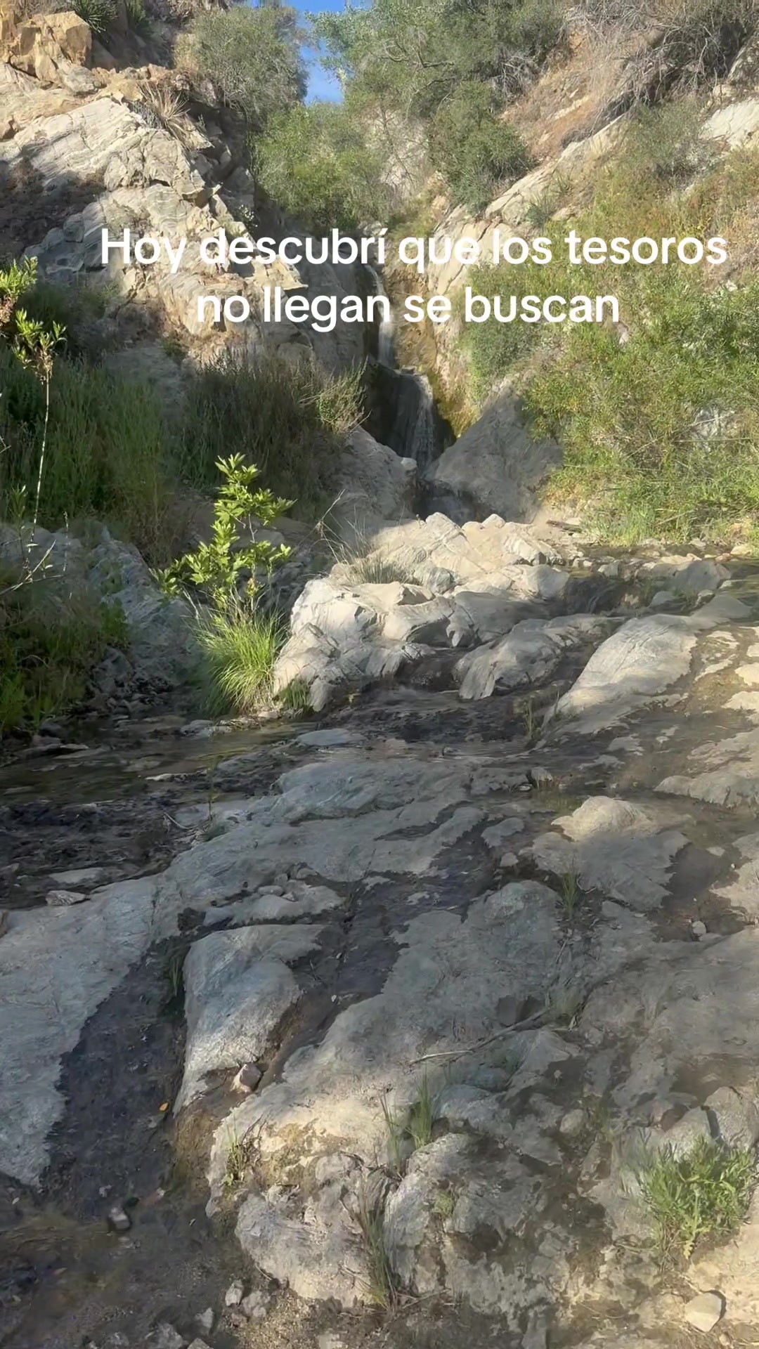 @Ame de ram