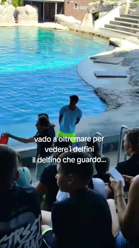 @💛Giulia_spammm💛