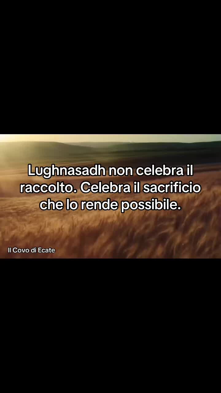 @Laura Ecate