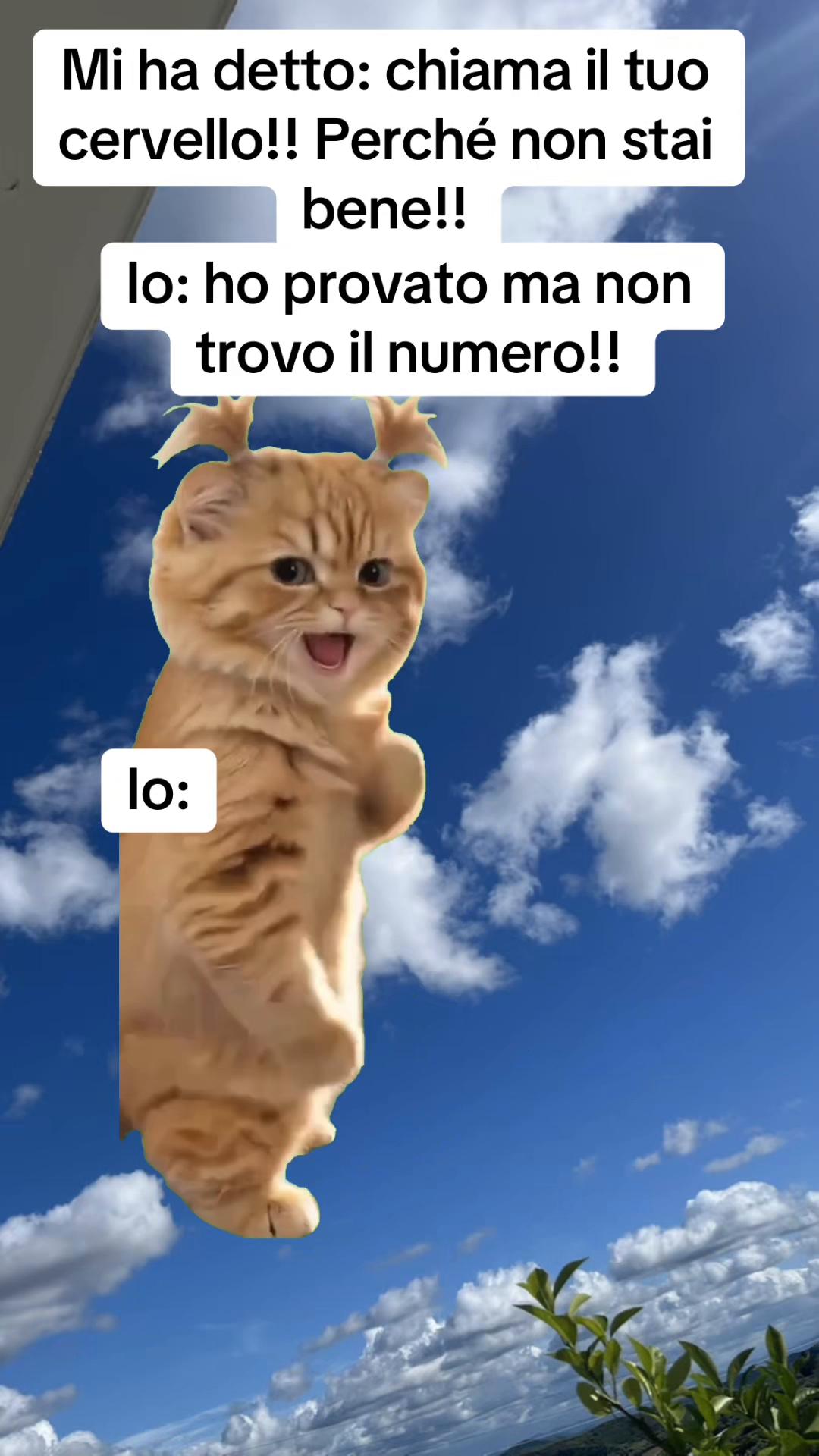 @LOLSempre😜😜