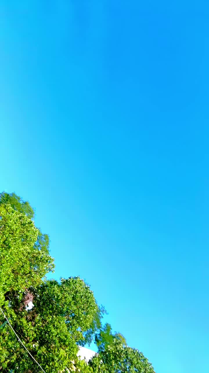 @𝐘𝐚𝐦𝐢𝐧 𝟐.𝟎 🇬🇭