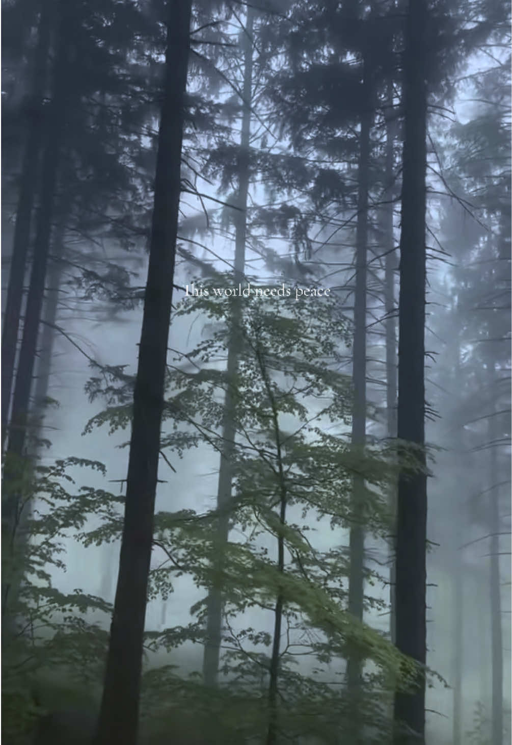 @𝙳𝚎𝚎 ☽