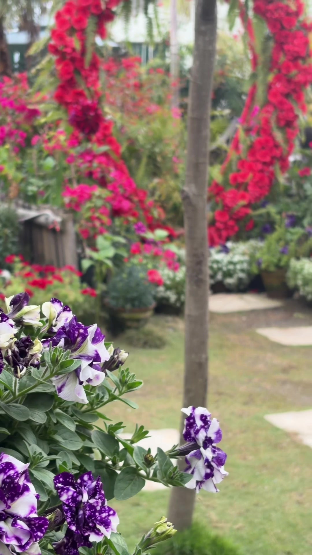 @Newprakritigarden