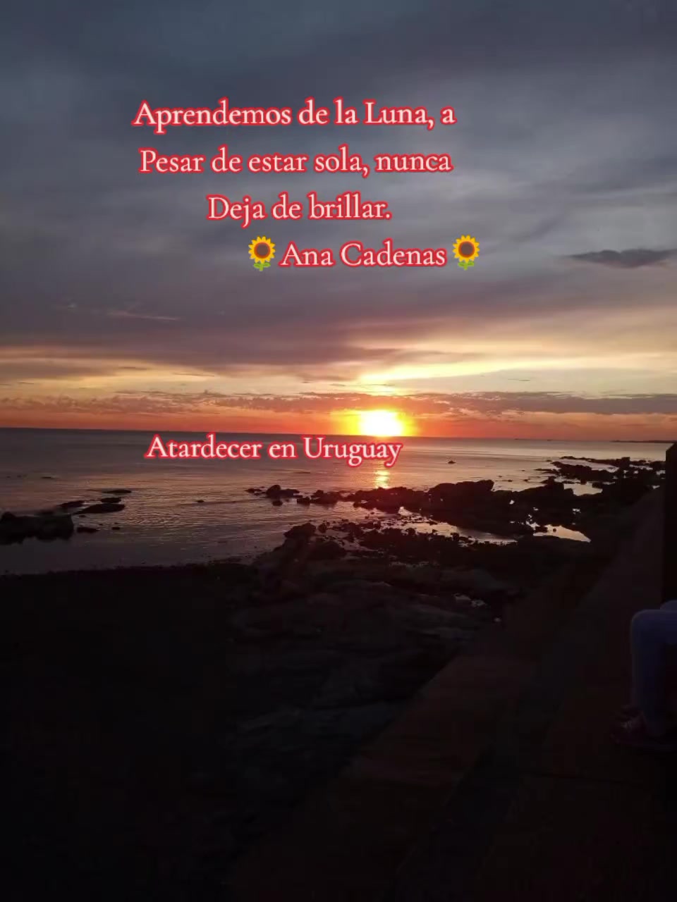 @anitacadenas
