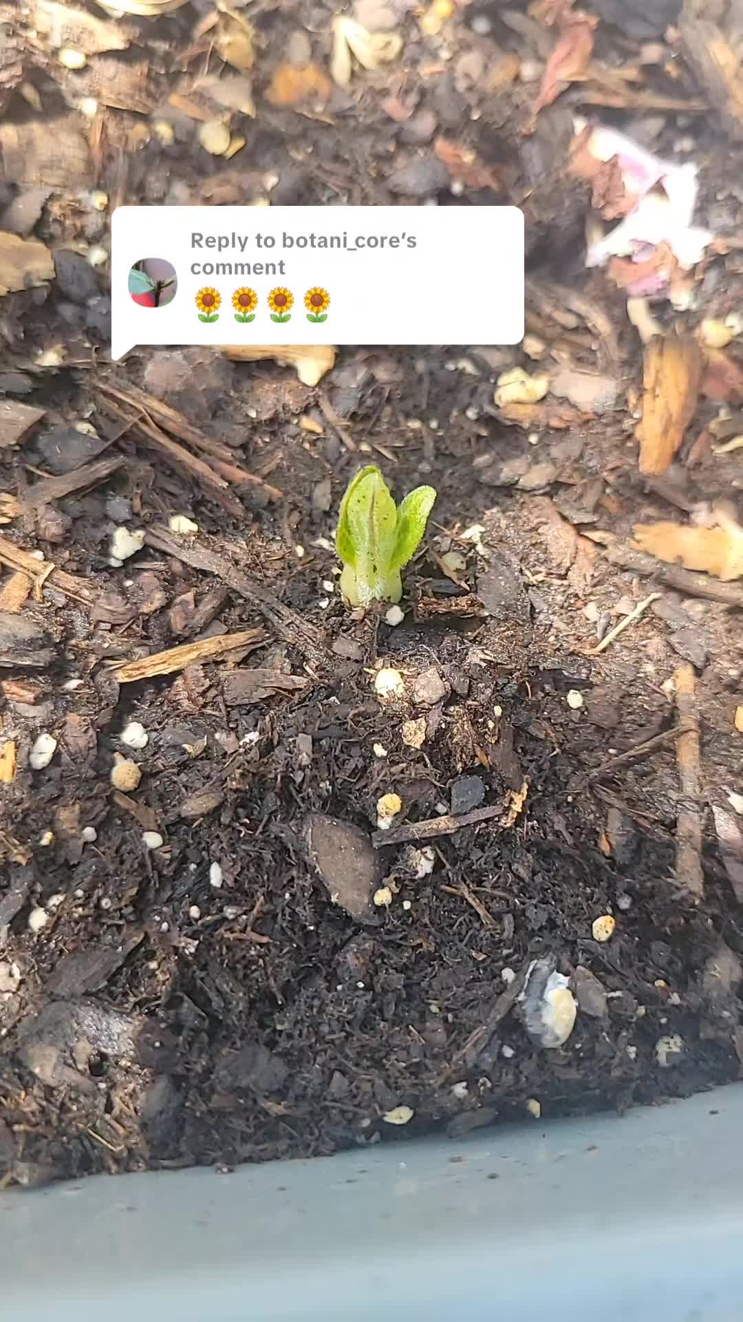 @botani_core
