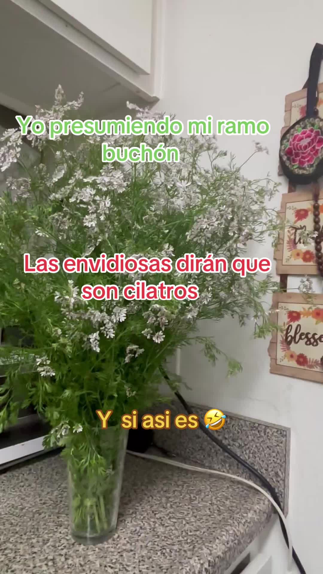 @Alma Baez295