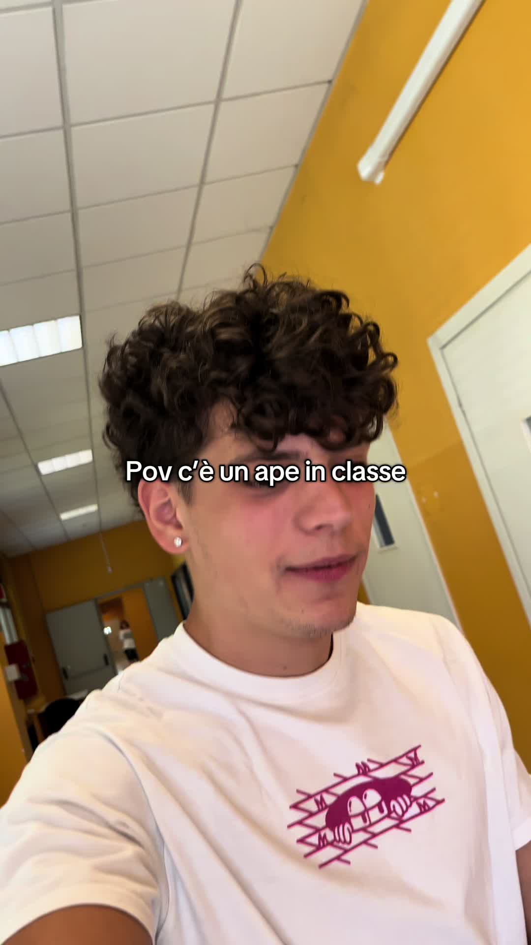 @gattinocattolico
