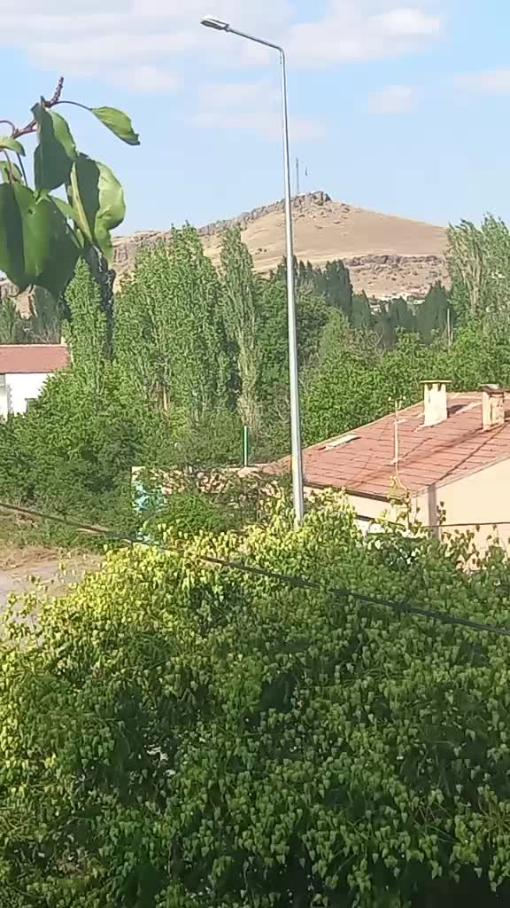 @Bayram Evler