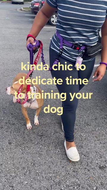 @Bree | Dog Trainer