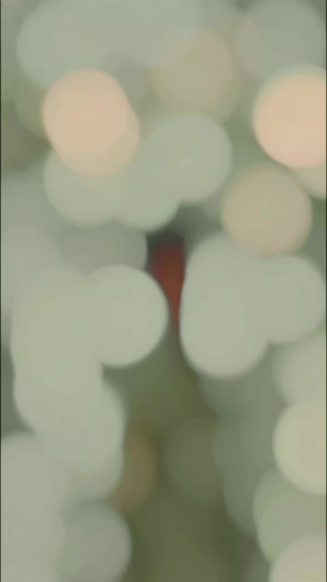 @𝒾bR𝒶R♕