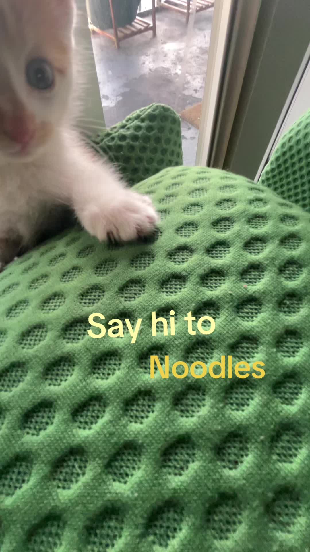 @Dynamic_adonis