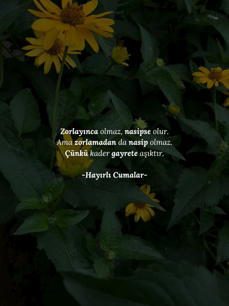 @ᴅᴜᴀ ᴅɪ̇ʏᴀʀɪᴍ