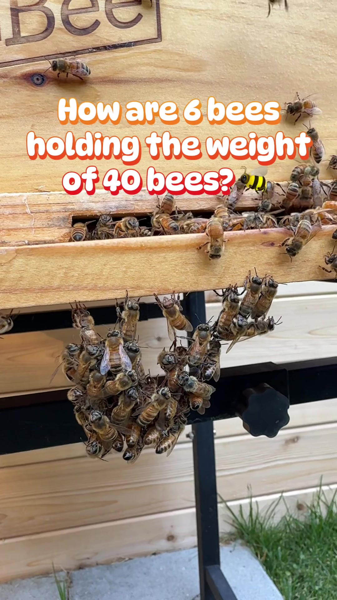 @homewithlogan