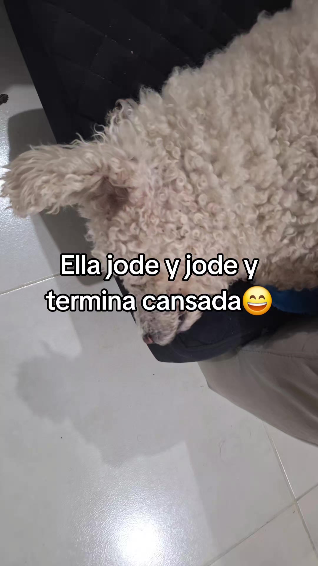 @Carmen Huayama