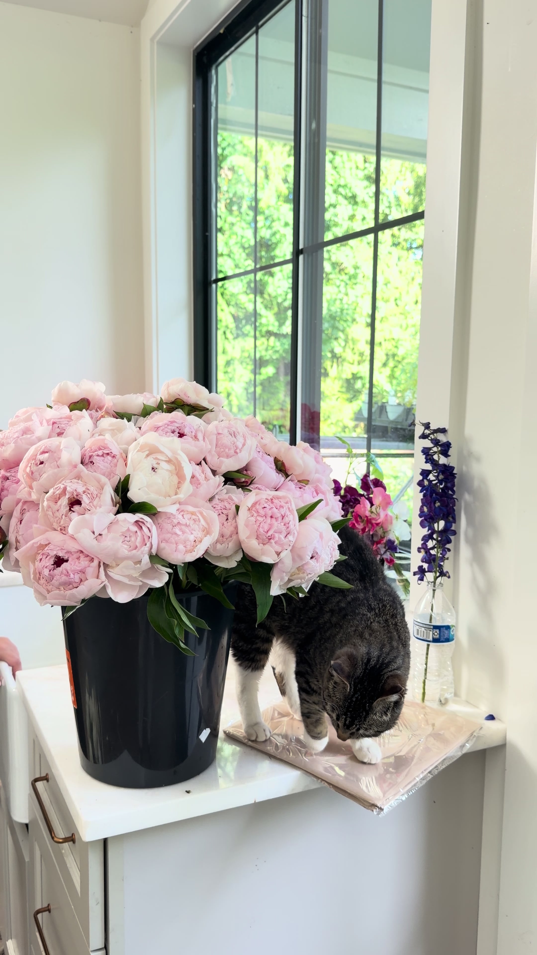 @solo.flowers