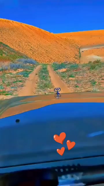@🦜ابو محمد🦜 السهيمي 🦜